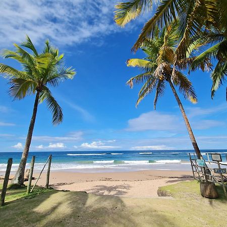 Laus Bangalos Experience - Piscina Privativa - Praia De Algodoes - Peninsula De Marau - Bahia Praia dos Algodoes Zewnętrze zdjęcie